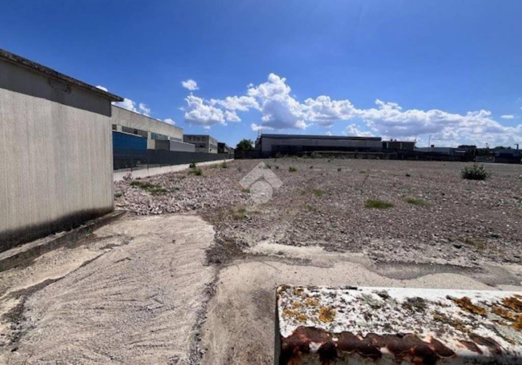 immagine annuncio 1 di 11