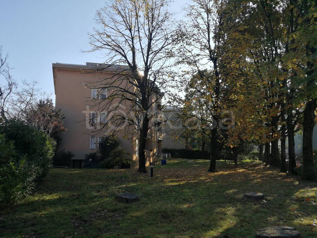 immagine annuncio 11 di 12