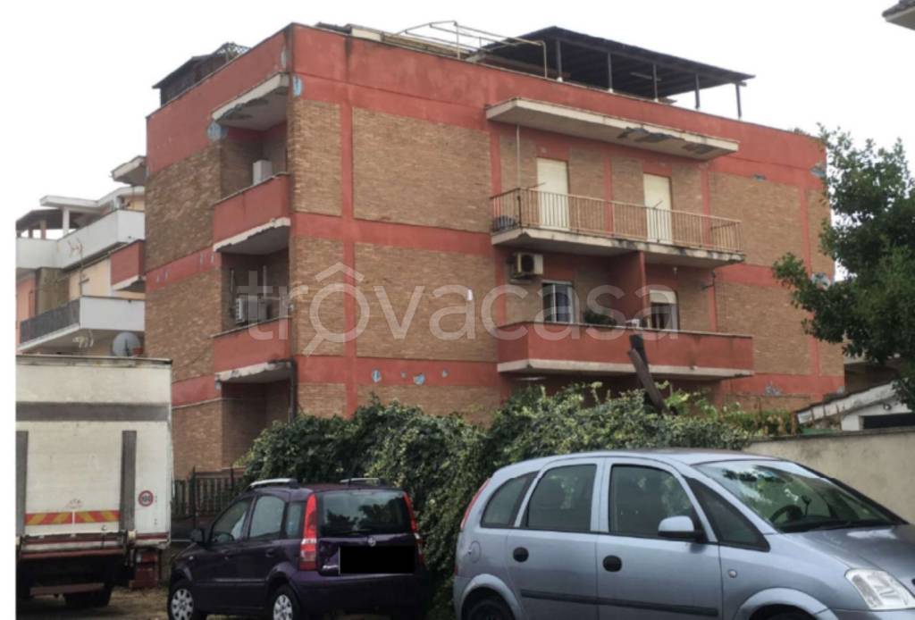 immagine annuncio 2 di 14