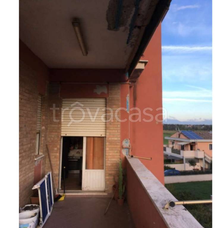 immagine annuncio 5 di 14