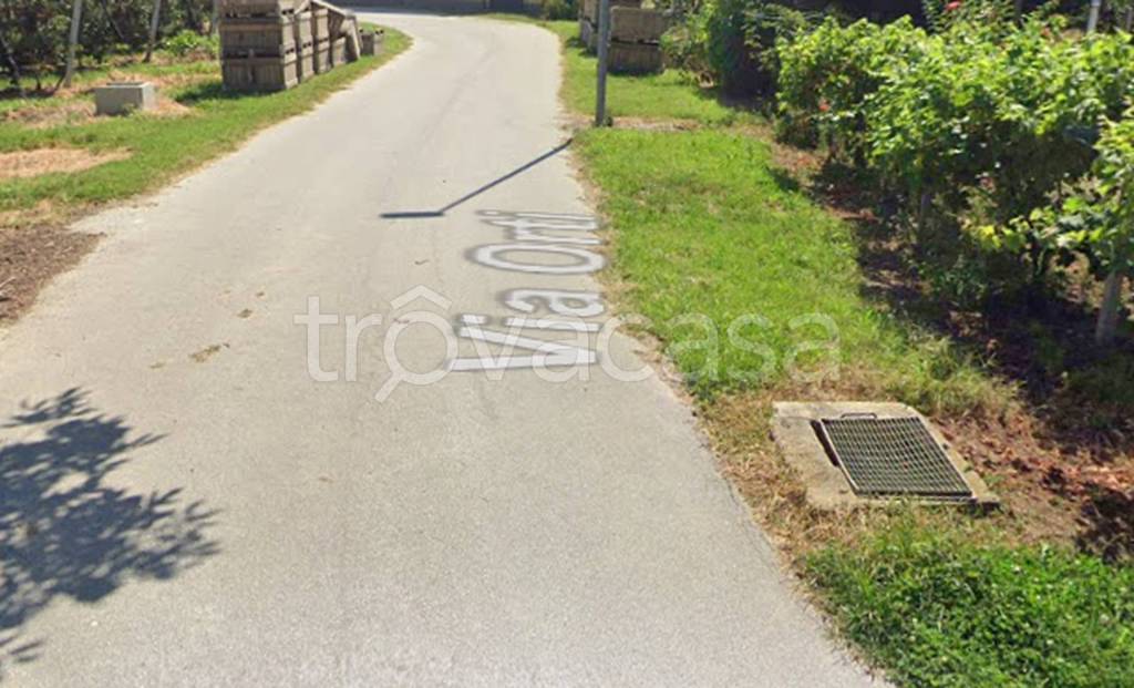 immagine annuncio 1 di 13