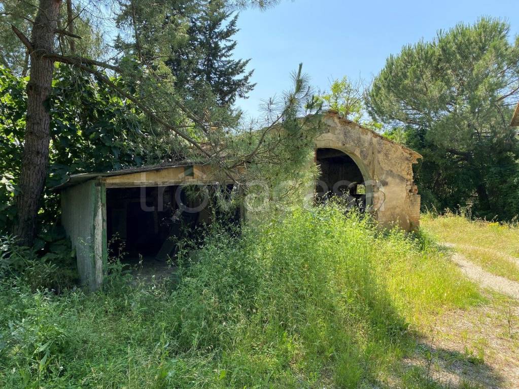 immagine annuncio 4 di 7
