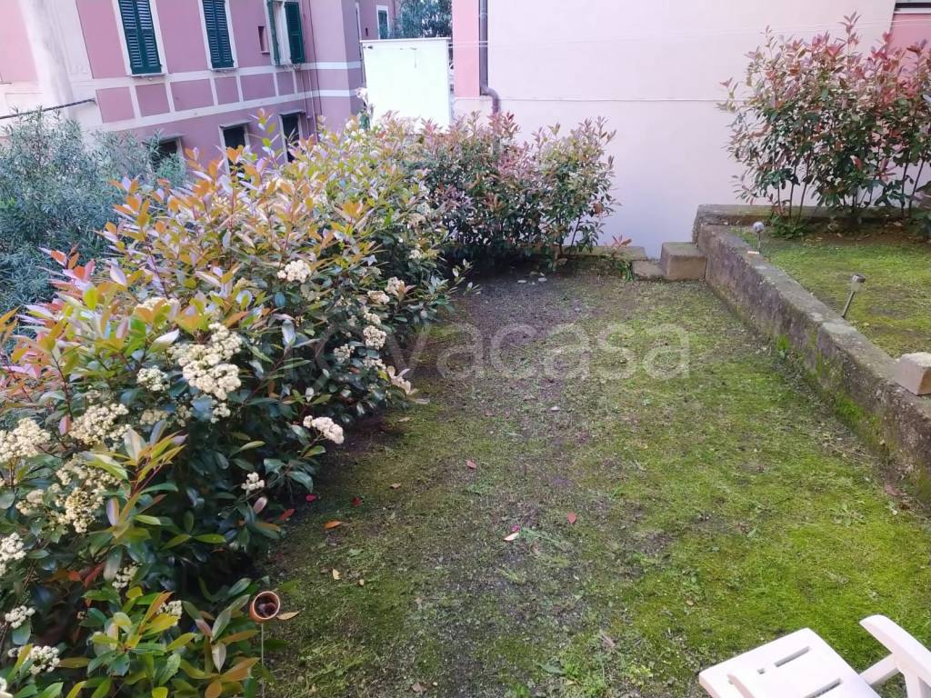 immagine annuncio 9 di 14