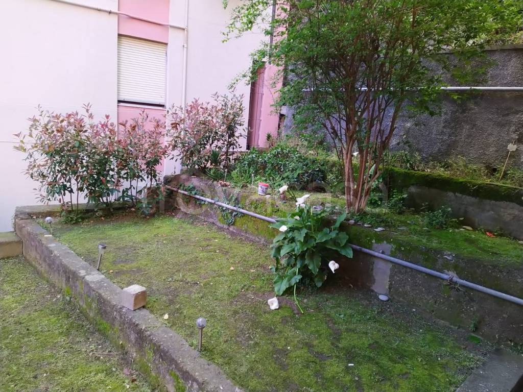 immagine annuncio 10 di 14