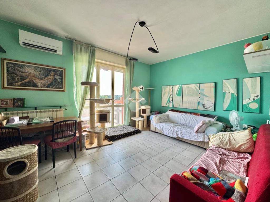 immagine annuncio 1 di 14