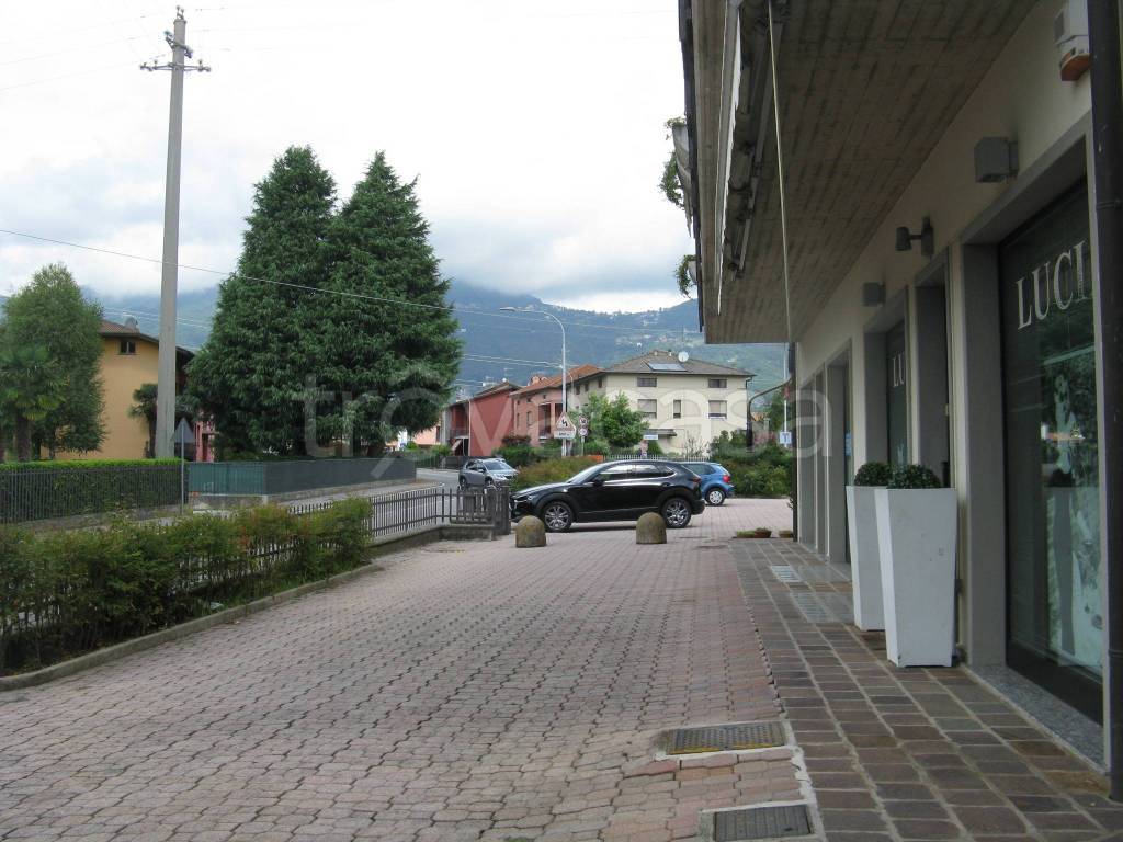 immagine annuncio 10 di 14