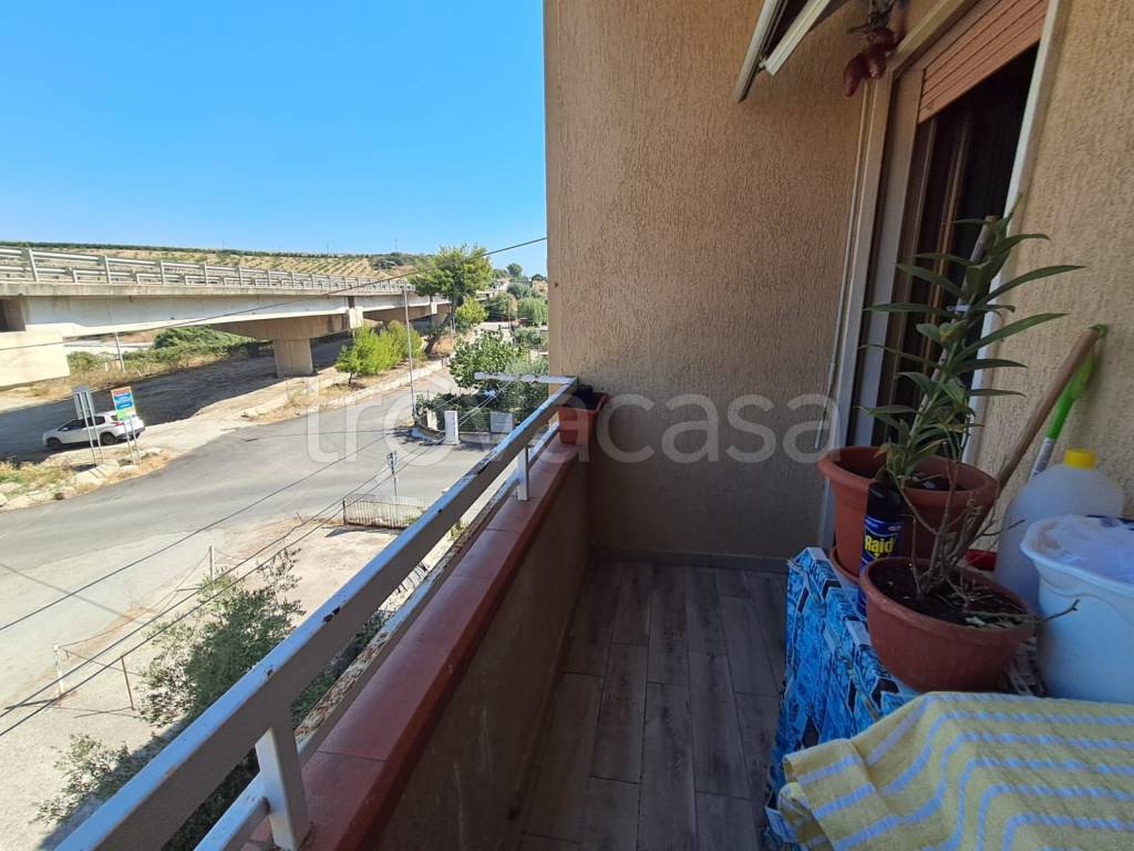 immagine annuncio 4 di 14