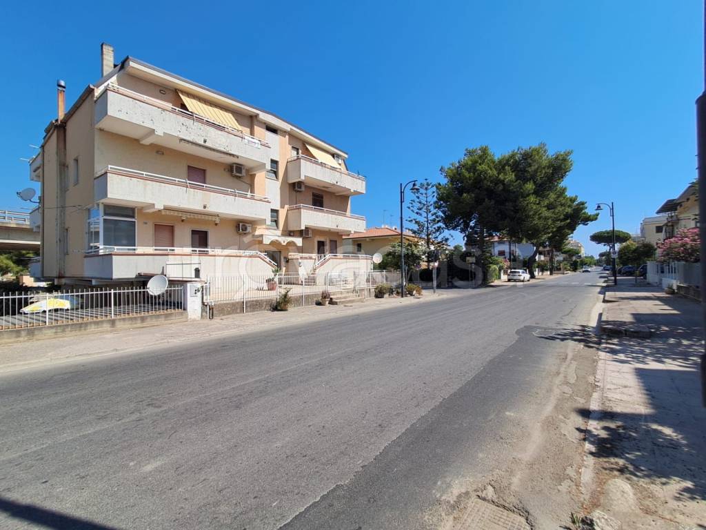 immagine annuncio 11 di 14