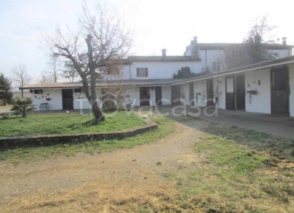 immagine annuncio 4 di 11