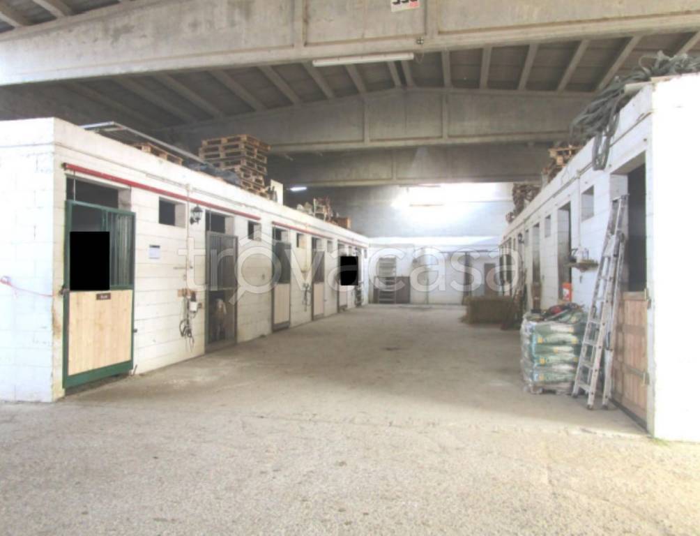 immagine annuncio 6 di 11