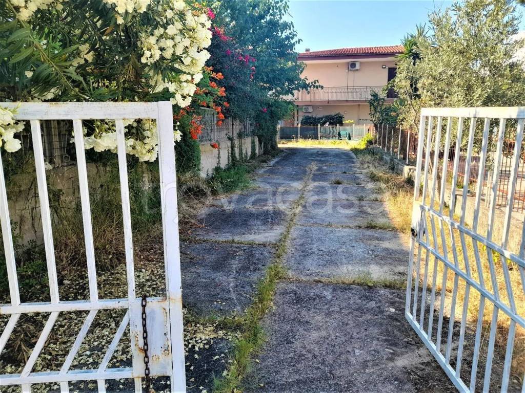 immagine annuncio 9 di 14