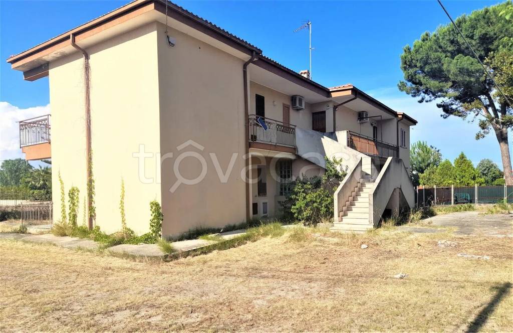 immagine annuncio 11 di 14