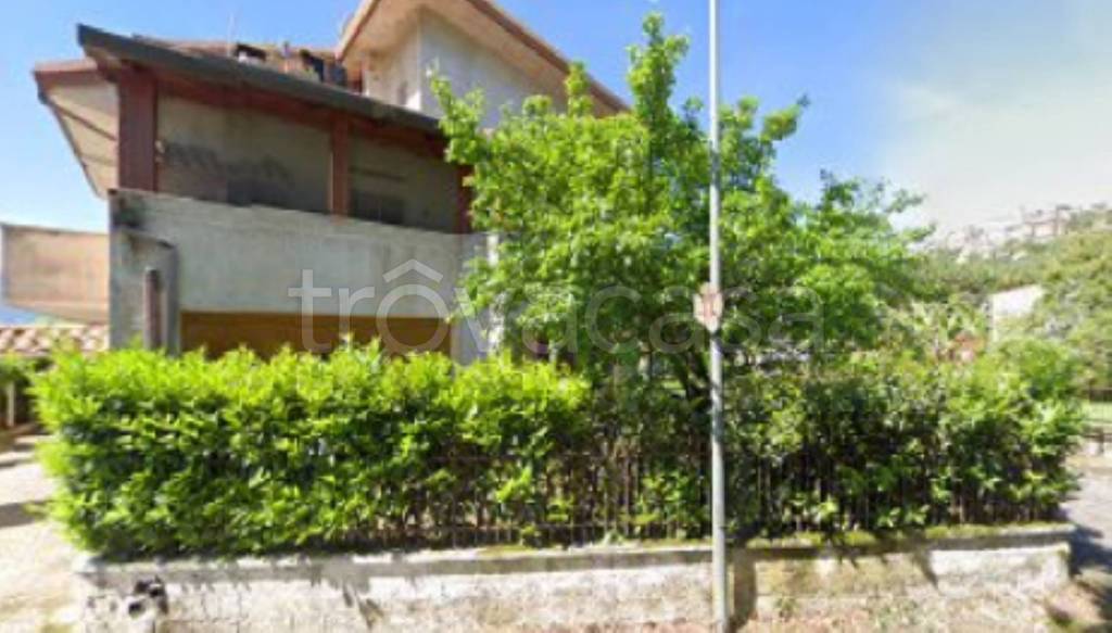 immagine annuncio 3 di 13