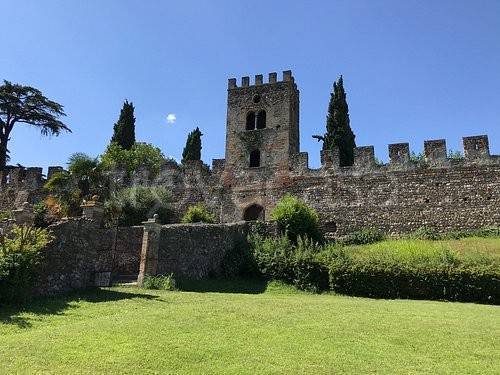 immagine annuncio 1 di 14