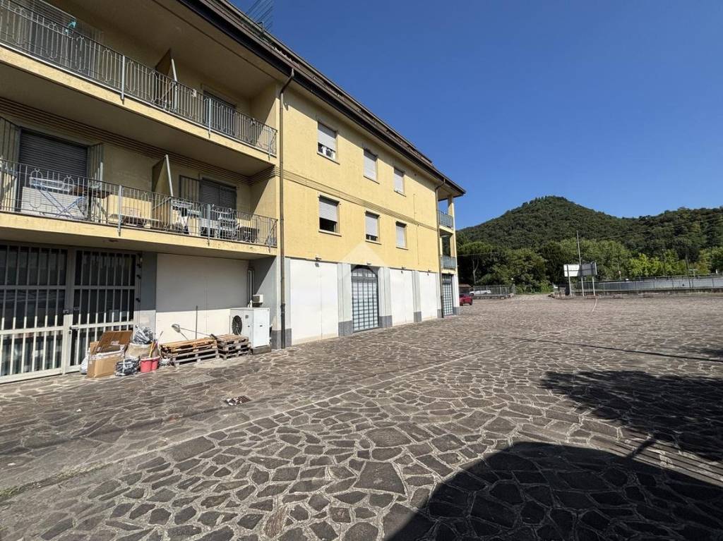 immagine annuncio 2 di 6