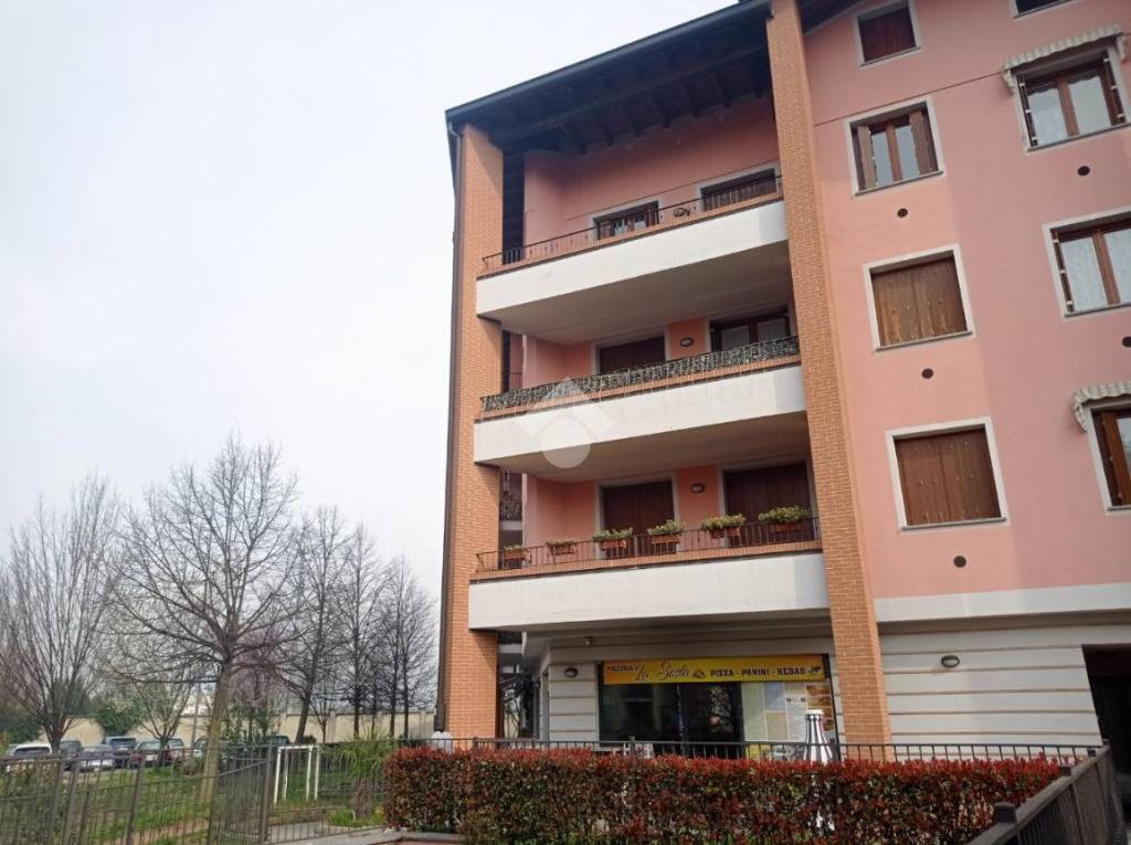 immagine annuncio 11 di 13