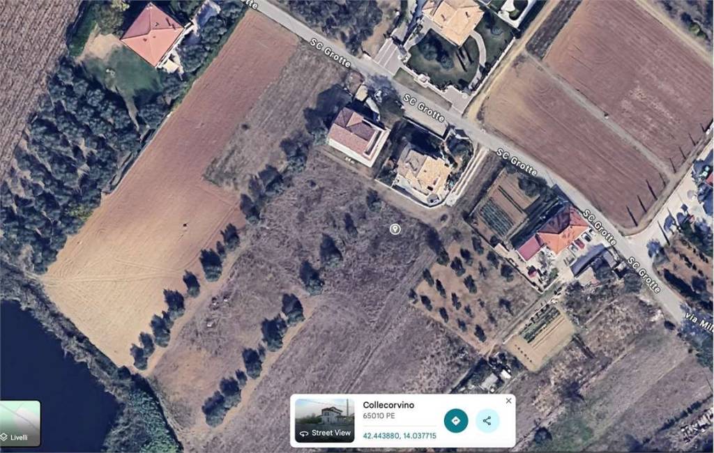 immagine annuncio 1 di 2