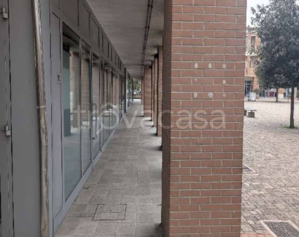 immagine annuncio 2 di 9