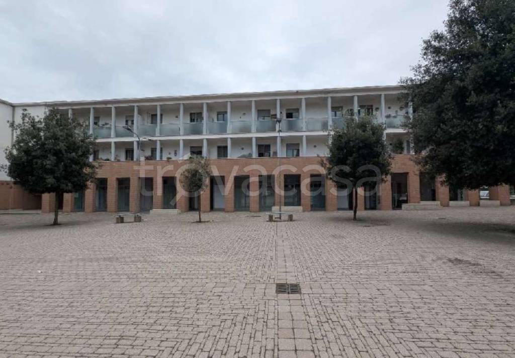 immagine annuncio 5 di 9