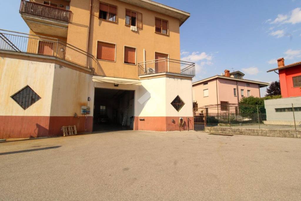 immagine annuncio 12 di 15