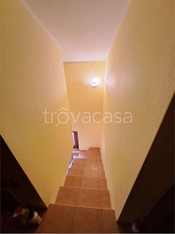 immagine annuncio 8 di 14