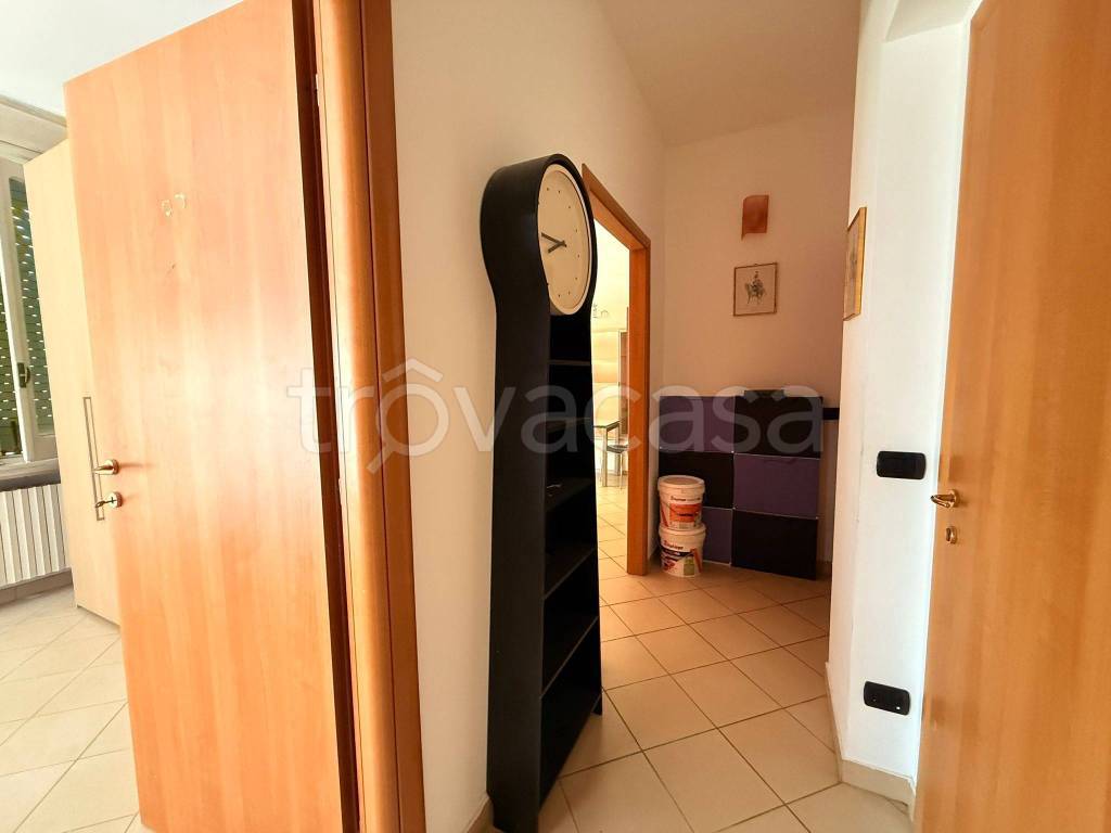 immagine annuncio 9 di 14