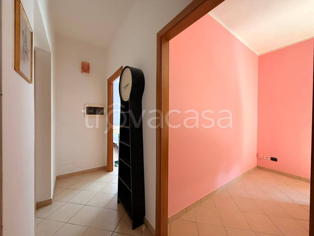 immagine annuncio 10 di 14