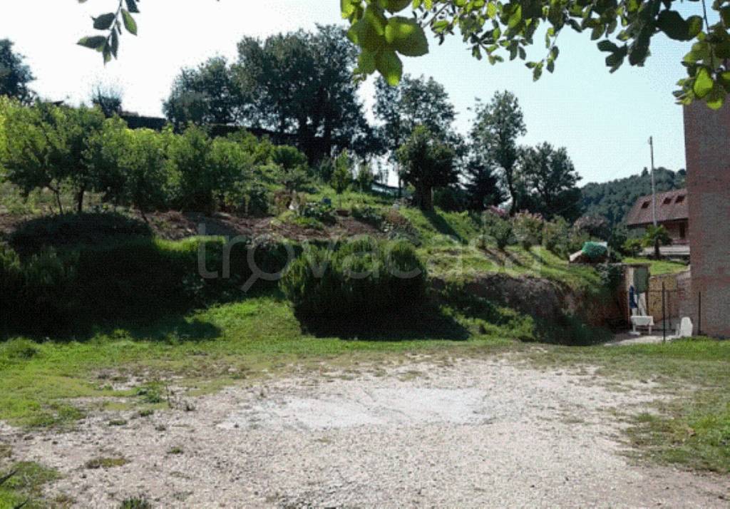 immagine annuncio 9 di 12