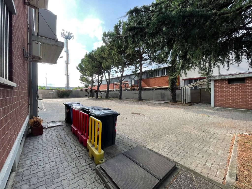 immagine annuncio 5 di 15