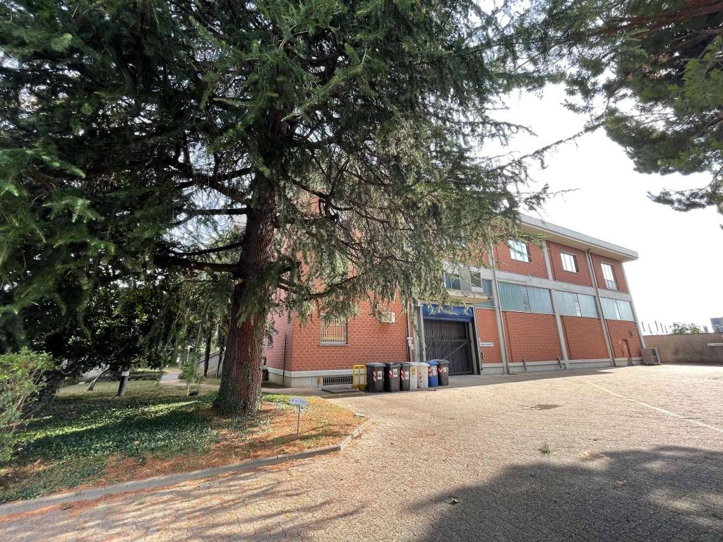 immagine annuncio 3 di 15