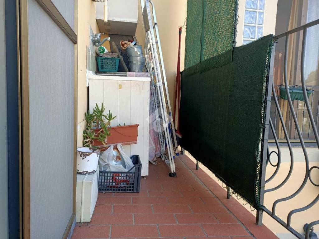 immagine annuncio 2 di 12
