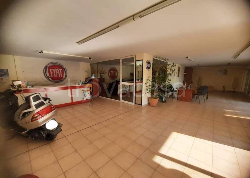immagine annuncio 9 di 14