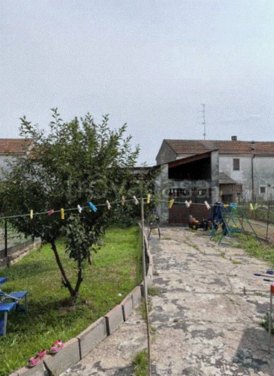 immagine annuncio 6 di 11