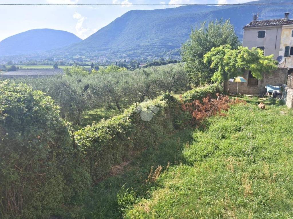 immagine annuncio 4 di 6