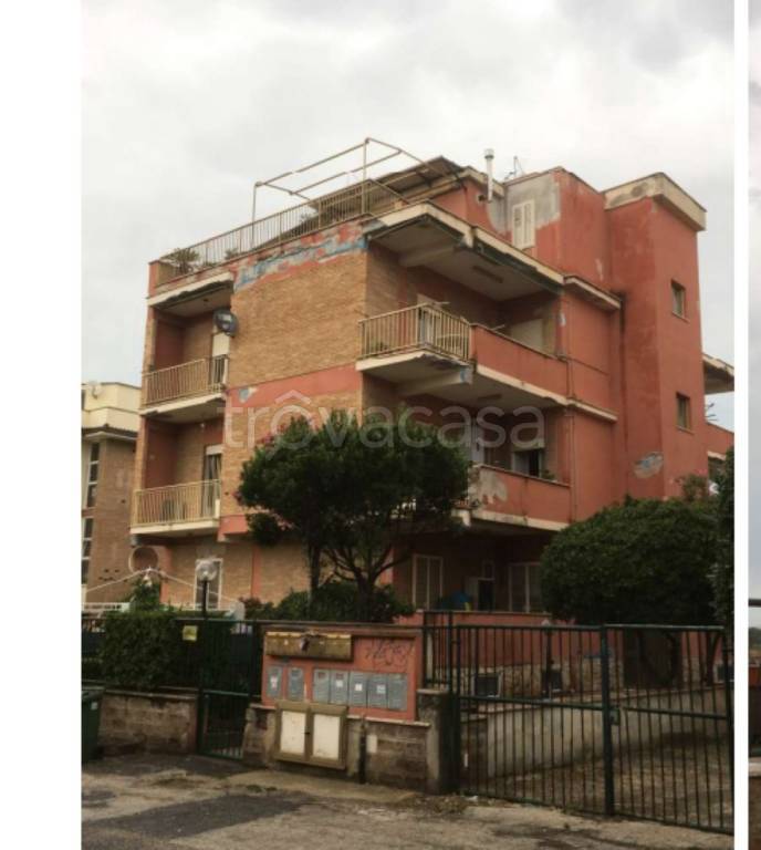 immagine annuncio 3 di 12