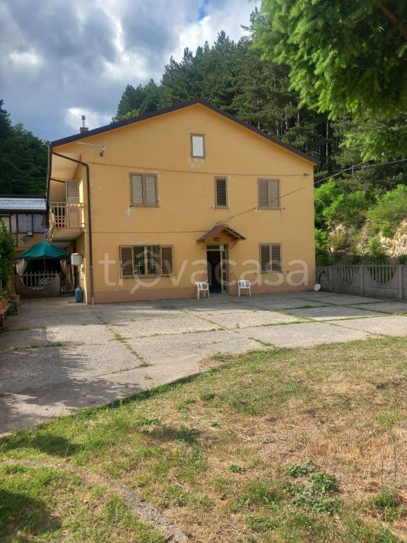 immagine annuncio 2 di 14