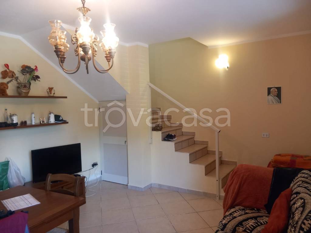 immagine annuncio 4 di 14