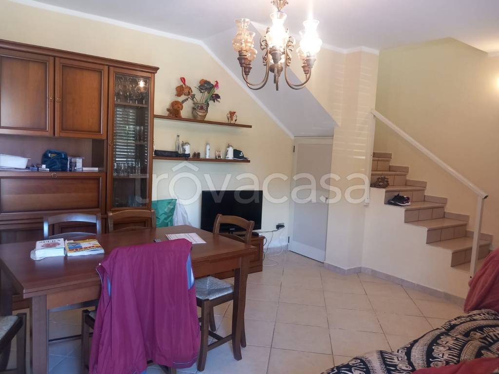 immagine annuncio 5 di 14