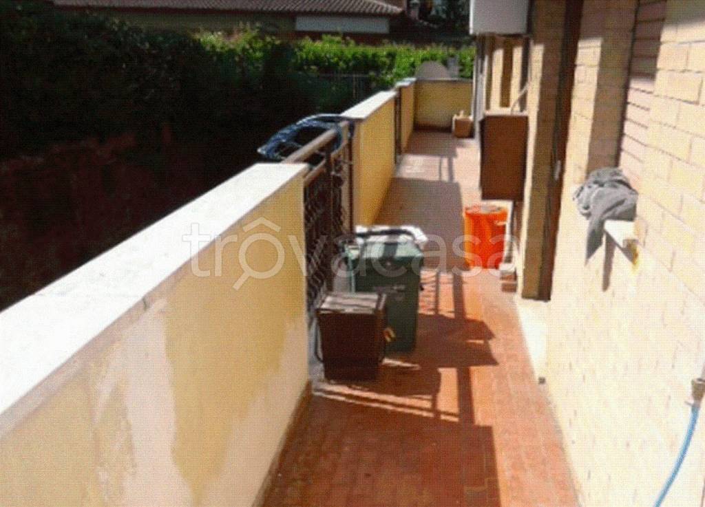 immagine annuncio 1 di 12