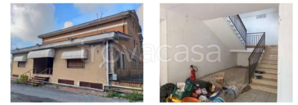 immagine annuncio 5 di 13