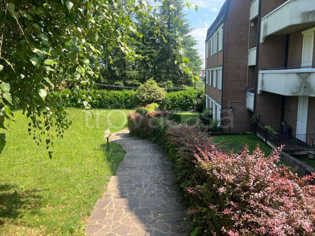 immagine annuncio 11 di 13