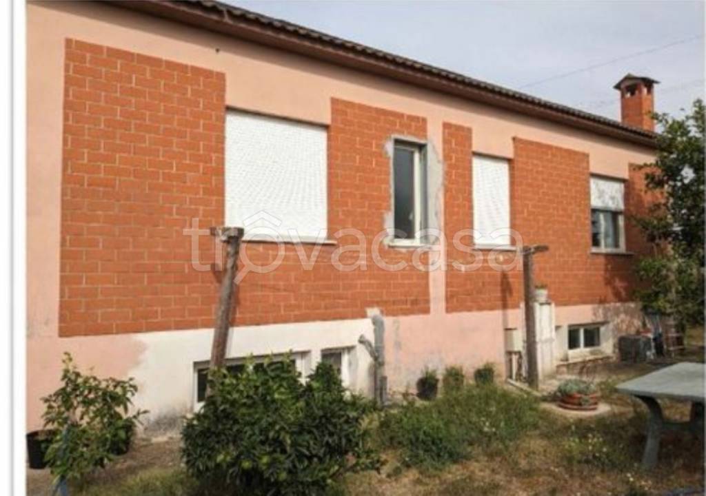 immagine annuncio 4 di 14