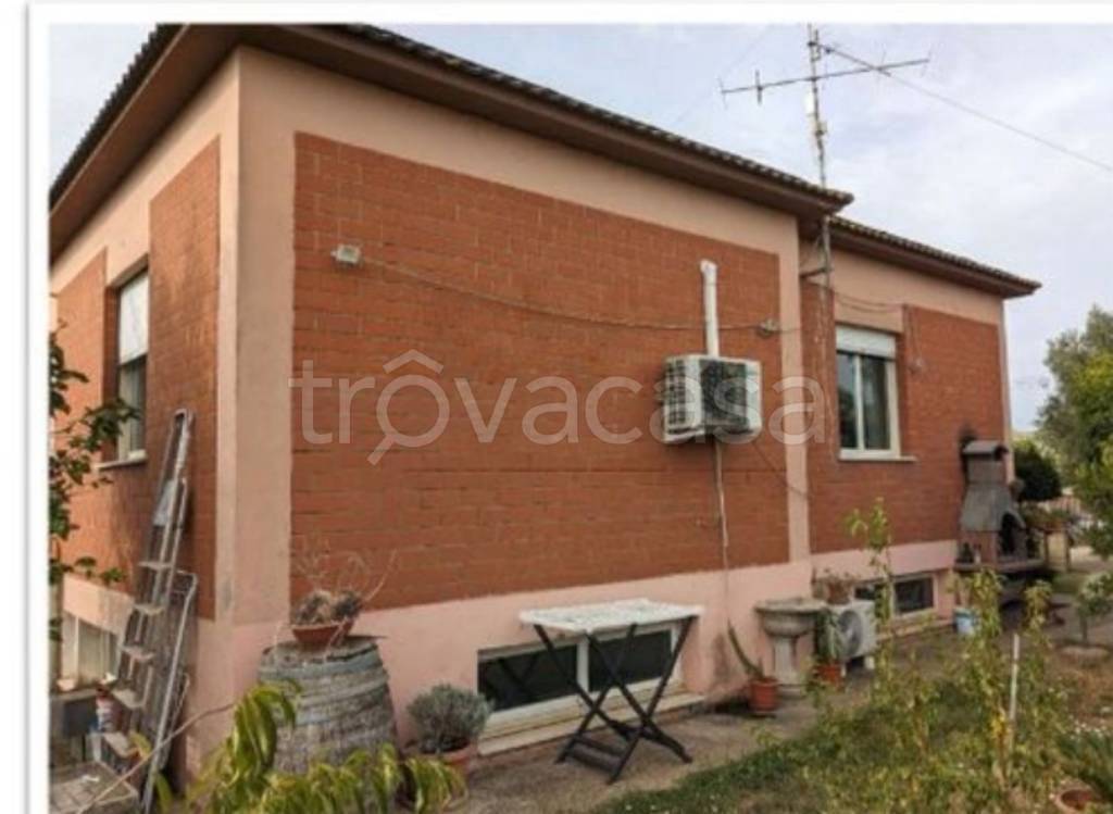 immagine annuncio 6 di 14