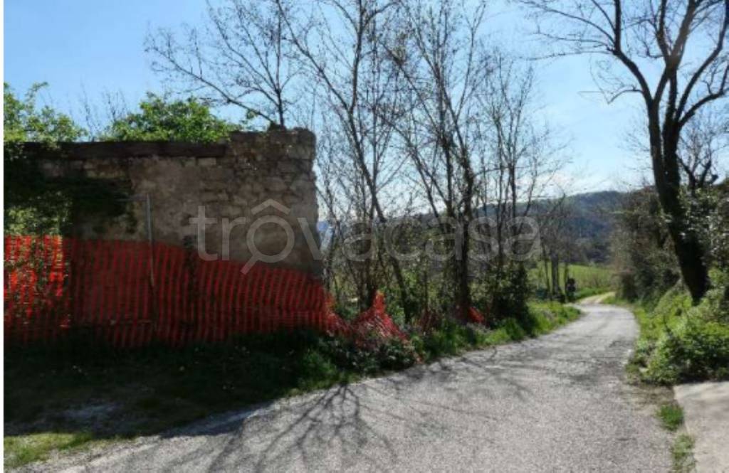 immagine annuncio 9 di 12