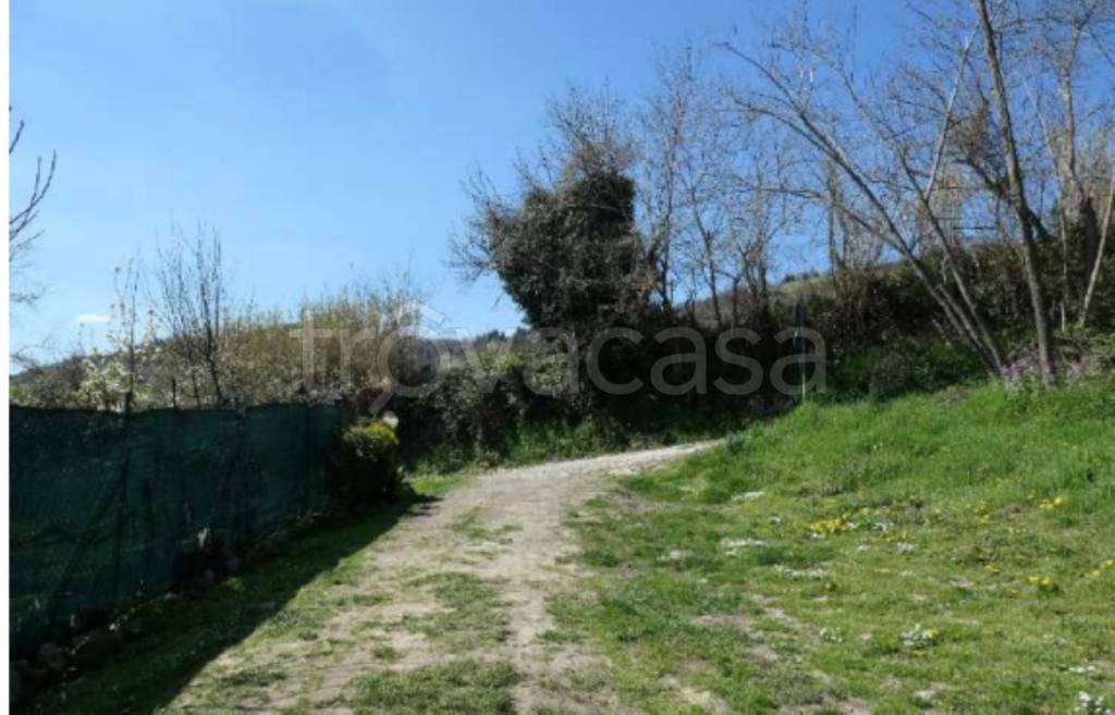 immagine annuncio 10 di 12