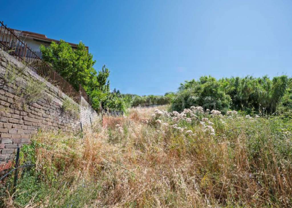 immagine annuncio 4 di 12