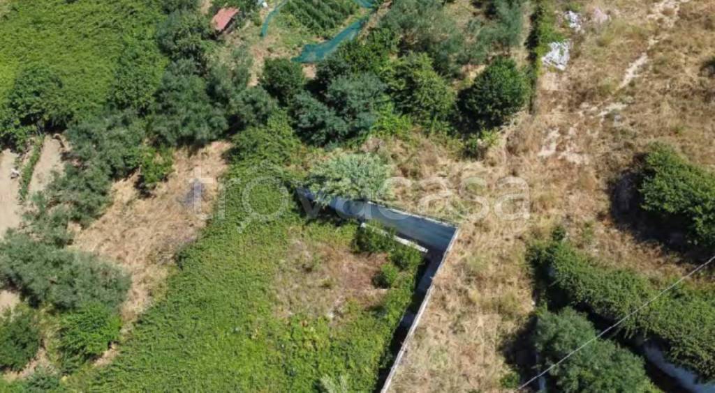 immagine annuncio 5 di 12