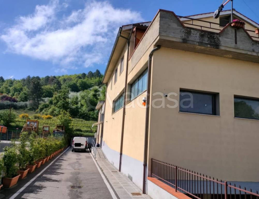 immagine annuncio 2 di 12