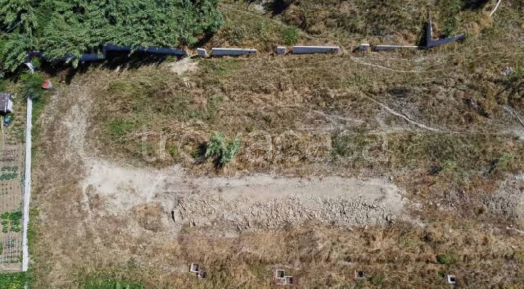 immagine annuncio 10 di 12