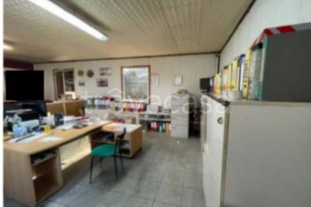 immagine annuncio 8 di 11